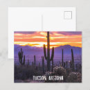 Zoek naar cactus briefkaarten Saguaro