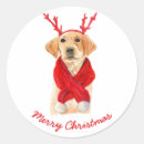 Zoek naar labrador puppy stickers Kerstmis