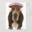Zoek naar basset hond briefkaarten Humor
