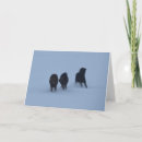 Zoek naar ijsland kaarten Voor iedereen