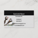 Zoek naar wilde vogel visitekaartjes Dier