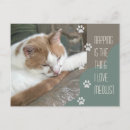Zoek naar poes briefkaarten Kattenliefhebber