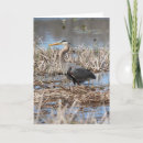 Zoek naar reiger kaarten Meer