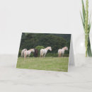 Zoek naar ponies kaarten Pony