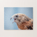 Zoek naar roofvogels puzzels Dieren