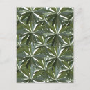 Zoek naar lupine briefkaarten Botanisch