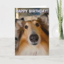 Zoek naar lassie kaarten Hond