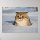 Zoek naar indrukken posters Grappig
