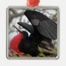 Zoek naar verkeer ornamenten Verkering