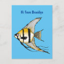 Zoek naar angelfish briefkaarten Engelvis