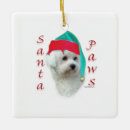 Zoek naar bichon frise ornamenten Kerstmis