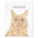 Zoek naar maine coon kunst Kattemoeder