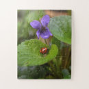 Zoek naar ladybug puzzels Kever