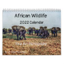 Zoek naar dieren kalenders Apen