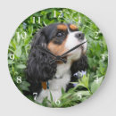 Zoek naar cavalier king charles spaniel klokken Gezelschapsdieren