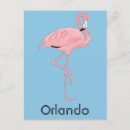 Zoek naar orlando briefkaarten Flamingo
