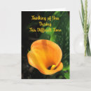 Zoek naar lily kaarten Verdriet