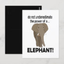 Zoek naar grappige olifant briefkaarten Voor iedereen