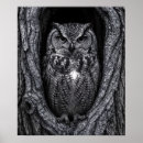 Zoek naar uil illustratie posters Zwart wit
