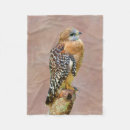 Zoek naar roofvogel dekens Natuur