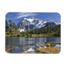 Zoek naar washington magneten Reflectie