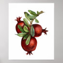 Zoek naar granaatappel posters Voor iedereen