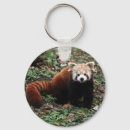 Zoek naar rode panda sleutelhangers Beer