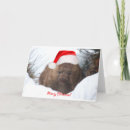 Zoek naar wombats kaarten Kerstmis