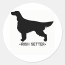 Zoek naar irish stickers Gezelschapsdieren