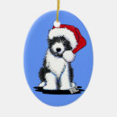 Zoek naar bearded collie ornamenten Beardie