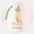 Zoek naar hondenliefhebber verjaardag stickers Gezelschapsdieren
