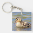 Zoek naar watervogels sleutelhangers Eend