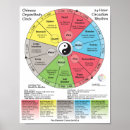 Zoek naar meridiaan posters Acupunctuur