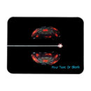 Zoek naar atoom magneten Natuurkunde