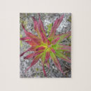 Zoek naar coastal puzzels Landschap