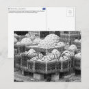 Zoek naar kosovo briefkaarten Europa