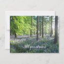 Zoek naar bluebell briefkaarten Bos