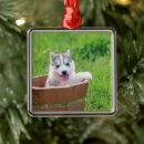 Zoek naar siberian husky ornamenten Puppy