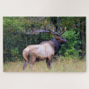 Zoek naar hunting puzzels Wild