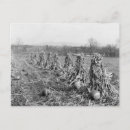 Zoek naar harvest briefkaarten Foto