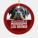 Zoek naar rottweiler kerstdecoratie Gezelschapsdieren