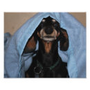 Zoek naar miniatuur posters Zwart