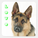 Zoek naar herders stickers Pup