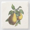 Zoek naar peren onderzetters Klassiek