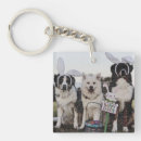 Zoek naar australisch sleutelhangers Australische herder