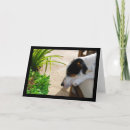 Zoek naar rat terrier kaarten Dieren