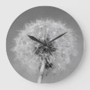 Zoek naar dandelion klokken Natuur