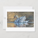 Zoek naar zwanen briefkaarten Vogel
