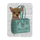 Zoek naar chihuahua magneten Dieren