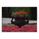 Zoek naar rode petunia posters Paars